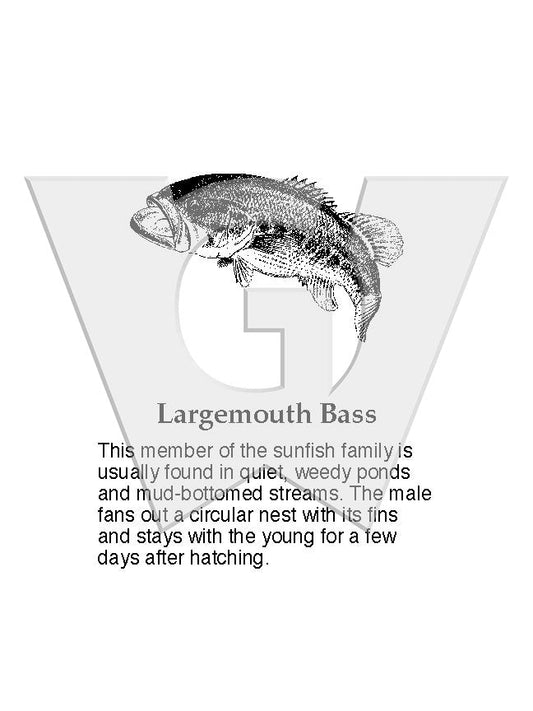 Largemouth Bass Sign