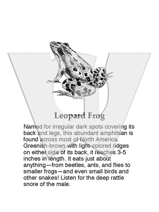 Leopard Frog Sign