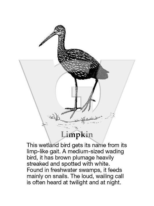 Limpkin Sign