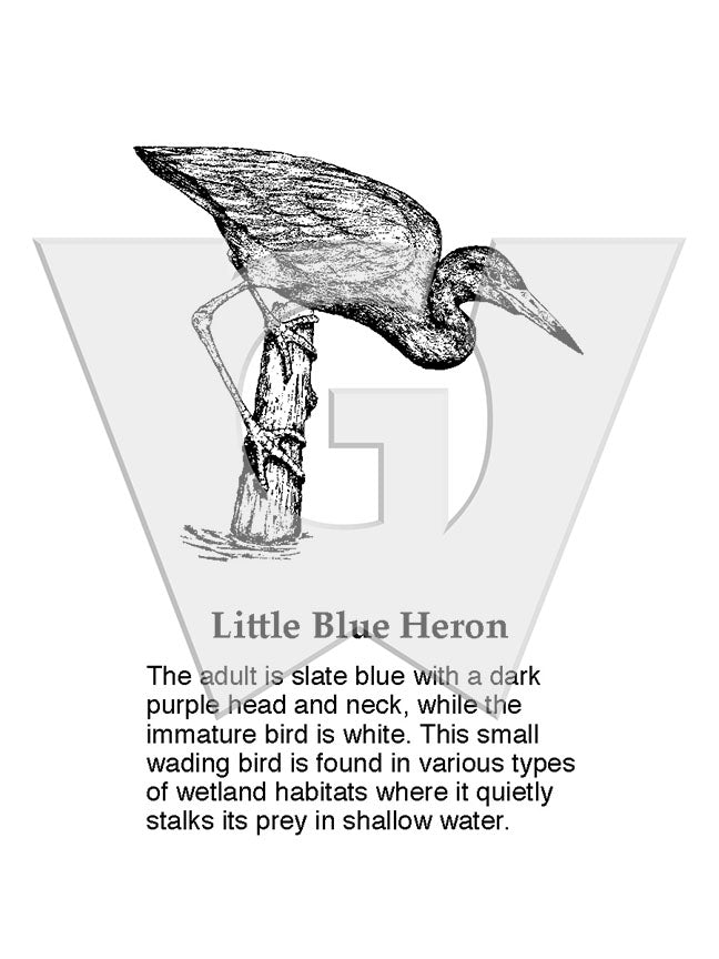 Little Blue Heron Sign