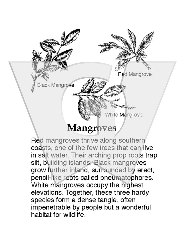 Mangroves