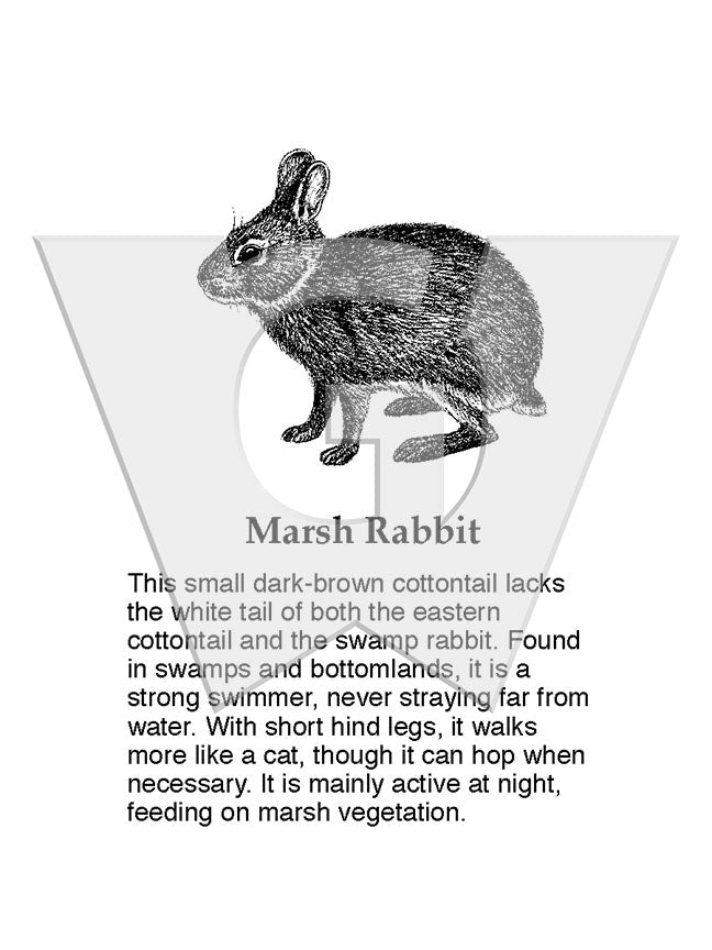 Marsh Rabbit Sign