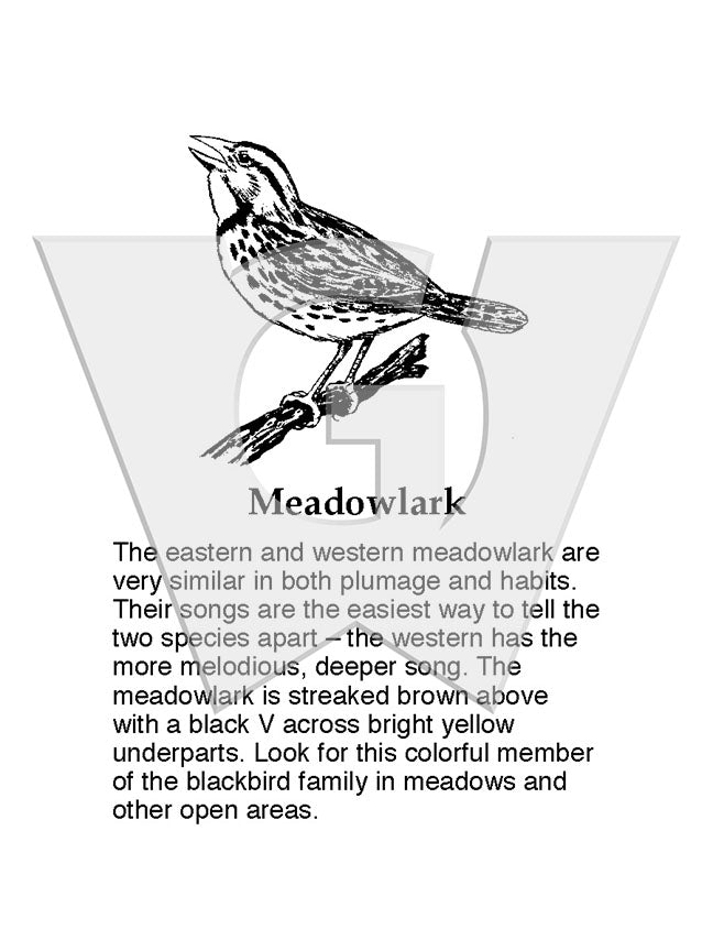 Meadowlark Sign