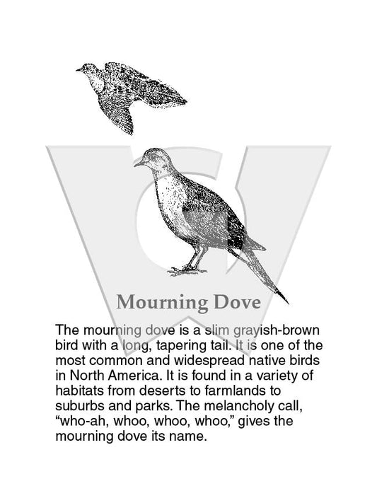 Mourning Dove Sign