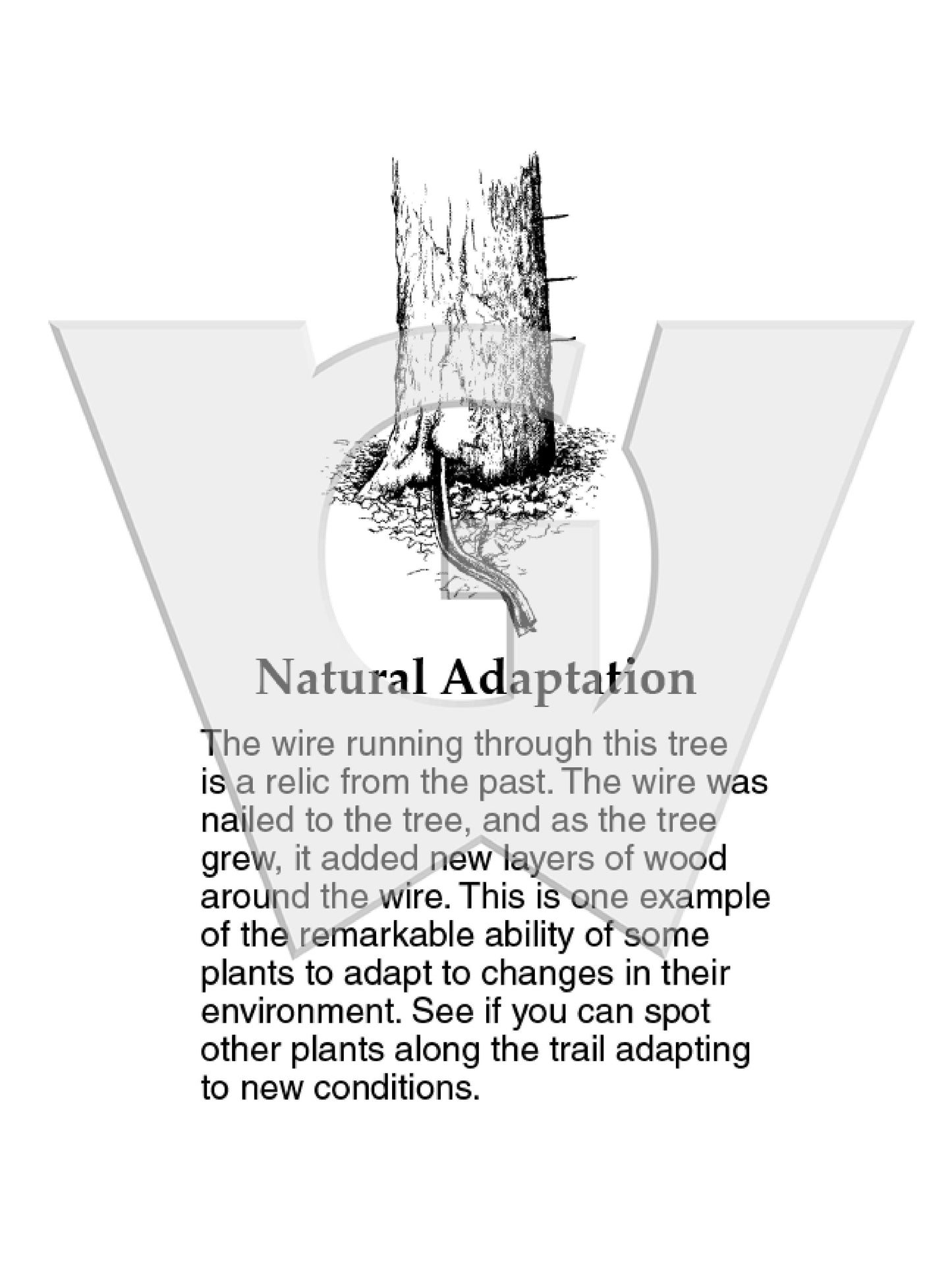 Natural Adaptation Sign