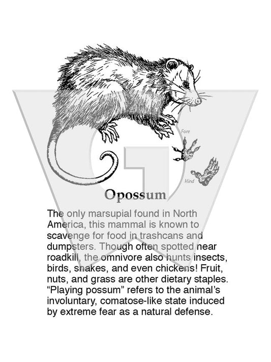 Opossum Sign