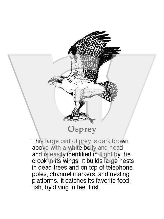 Osprey Sign