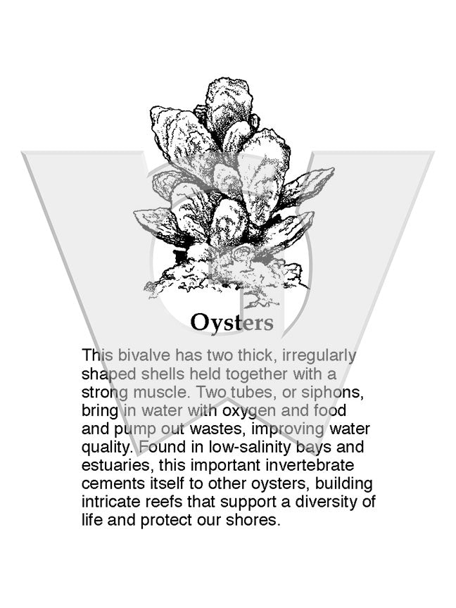 Oyster Sign