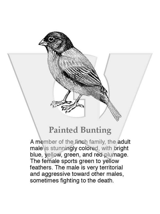 Painted Bunting Sign