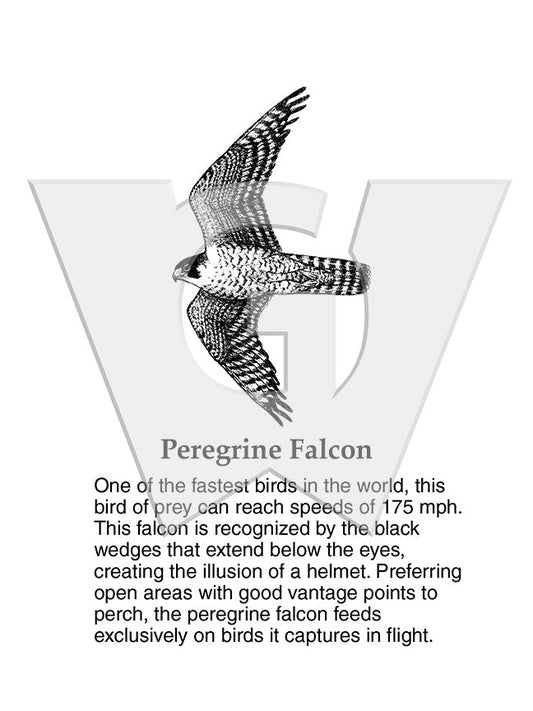 Peregrine Falcon Sign