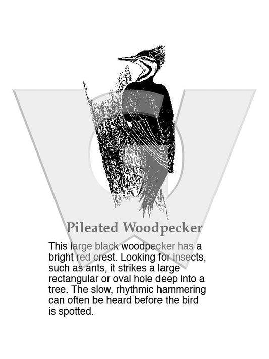 Pileated Woodpecker Sign