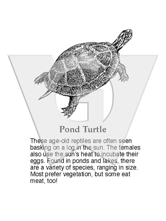 Pond Turtles Sign