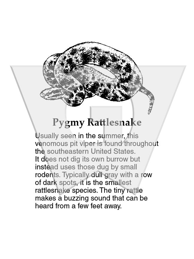 Pygmy Rattlesnake Sign
