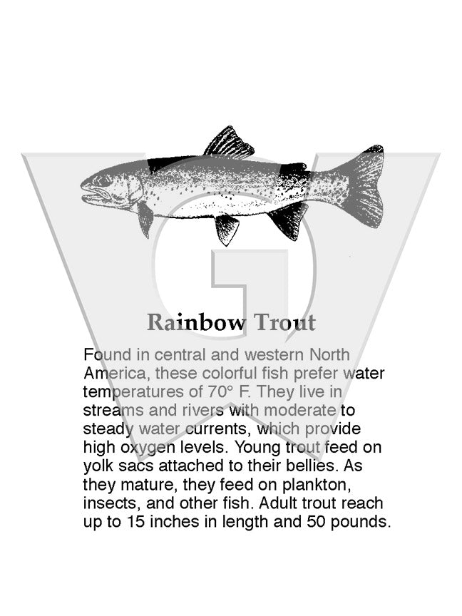 Rainbow Trout Sign