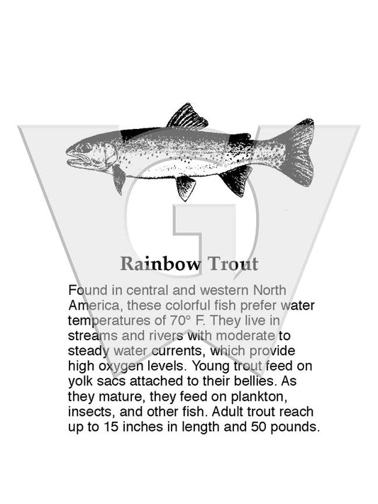 Rainbow Trout Sign