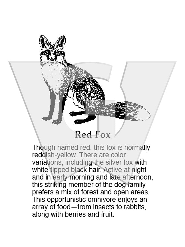 Red Fox Sign
