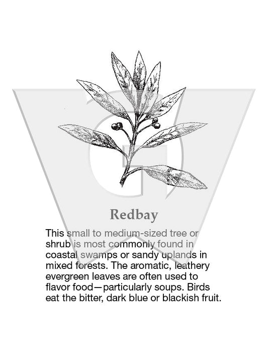 Redbay