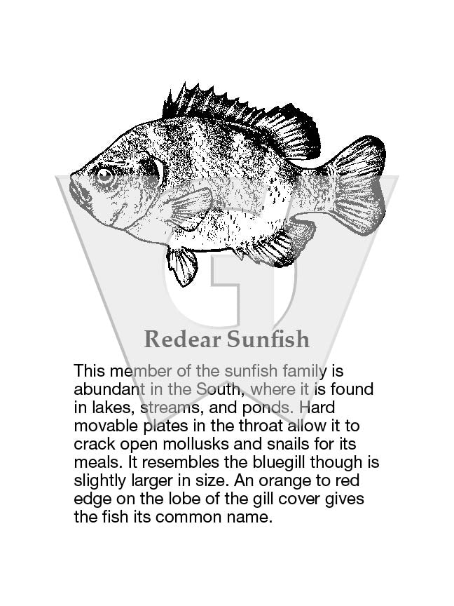 Redear Sunfish Sign