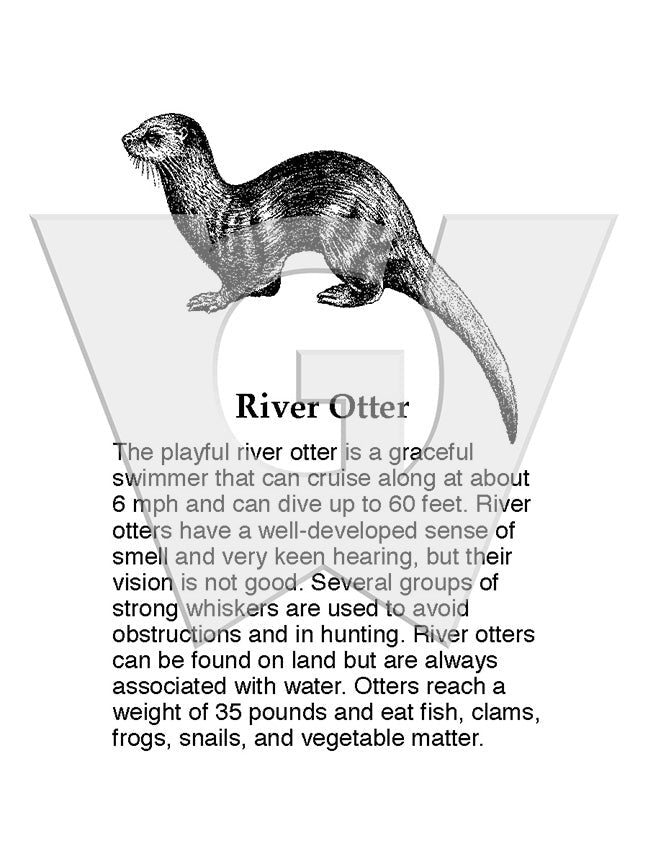 River Otter Sign