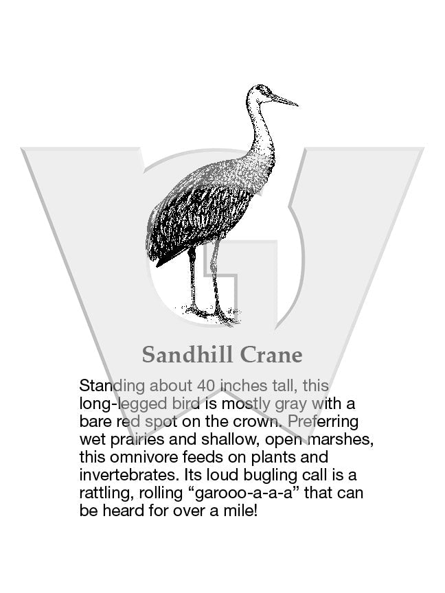 Sandhill Crane Sign