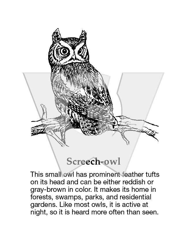 Screech-owl Sign