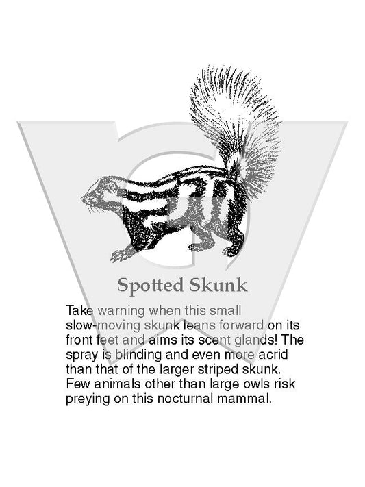 Spotted Skunk Sign
