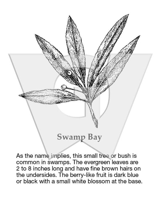 Swamp Bay Sign