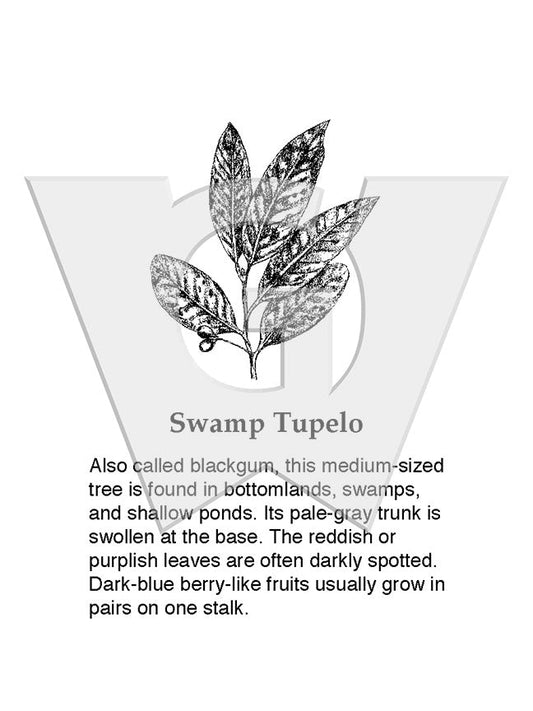 Swamp Tupelo Sign