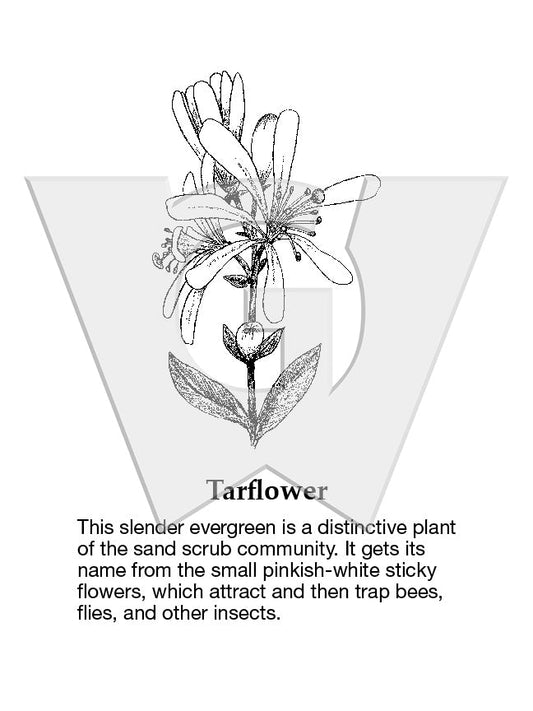 Tarflower Sign