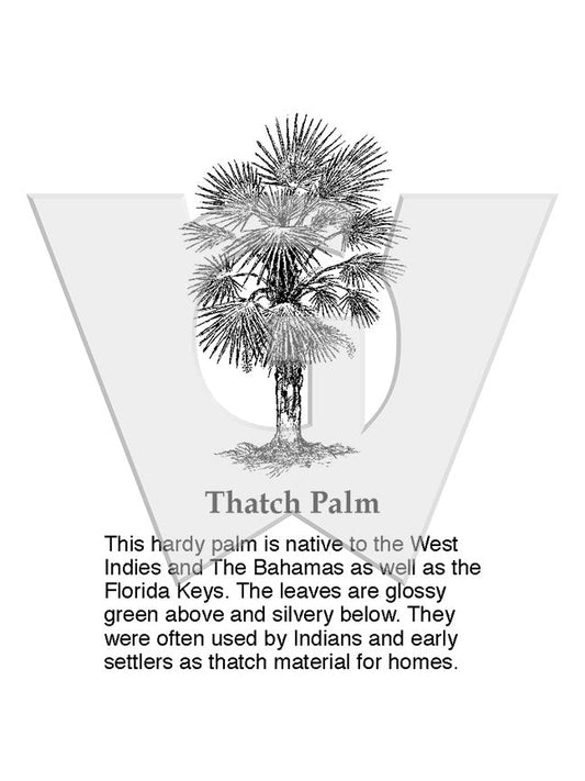 Thatch Palm Sign