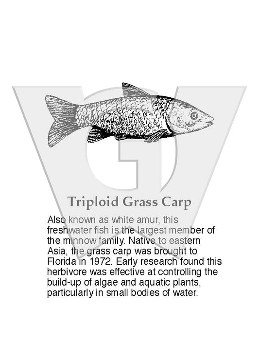 Triploid Grass Carp Sign