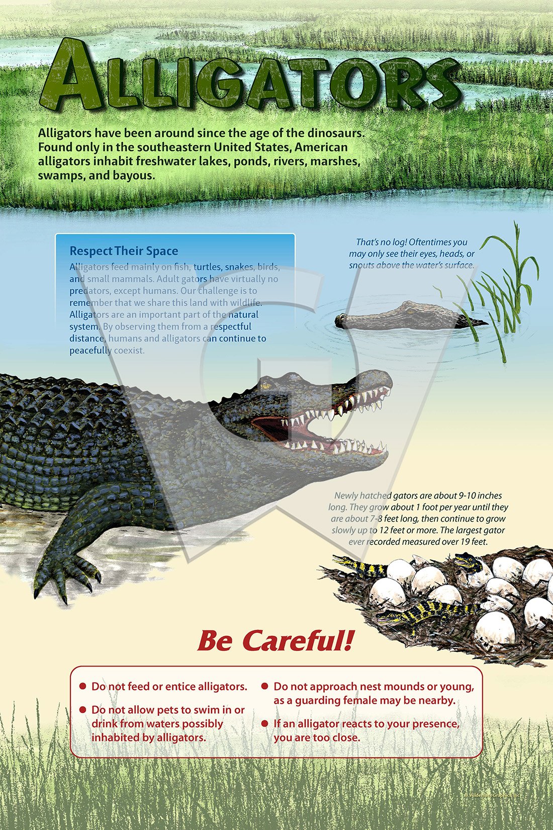 Alligators Sign