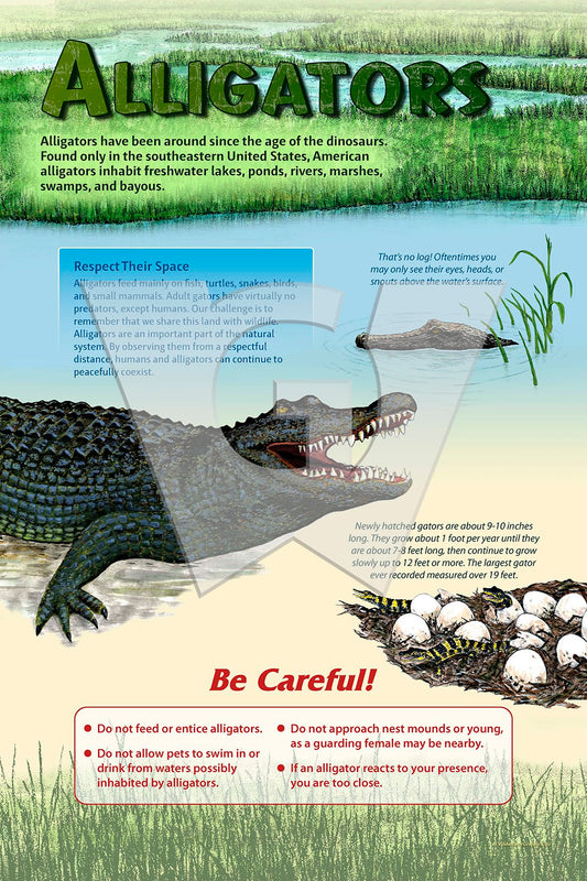 Alligators Sign