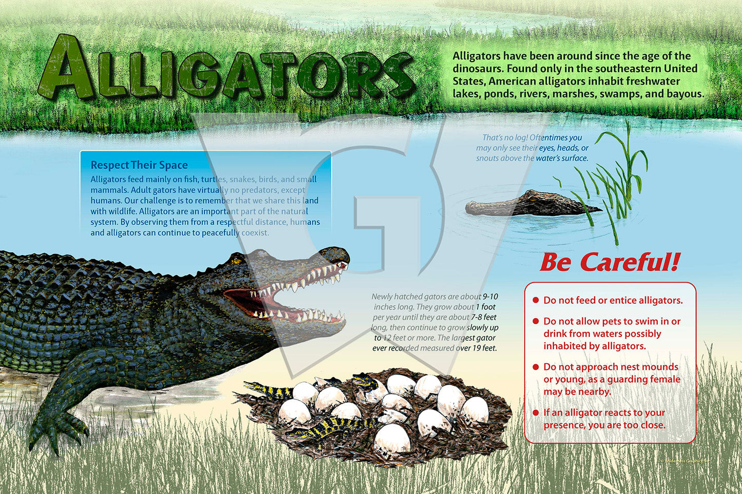 Alligators Sign