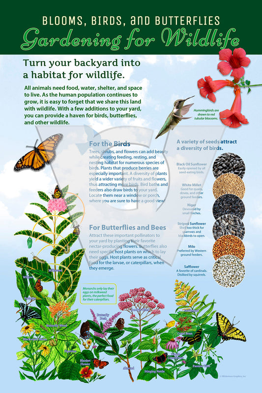 Gardening for Wildlife (Blooms, Birds, and Butterflies) Sign