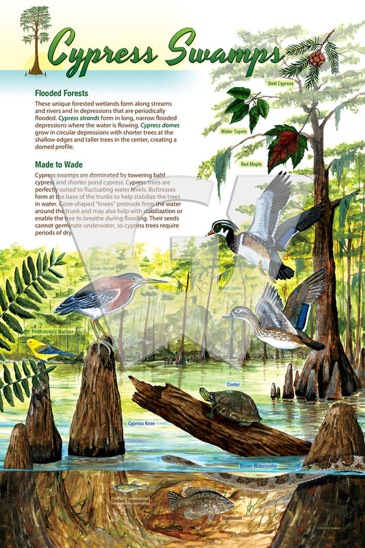 Cypress Swamps Sign