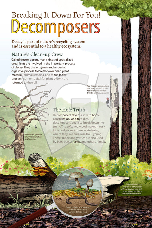 Decomposers Sign