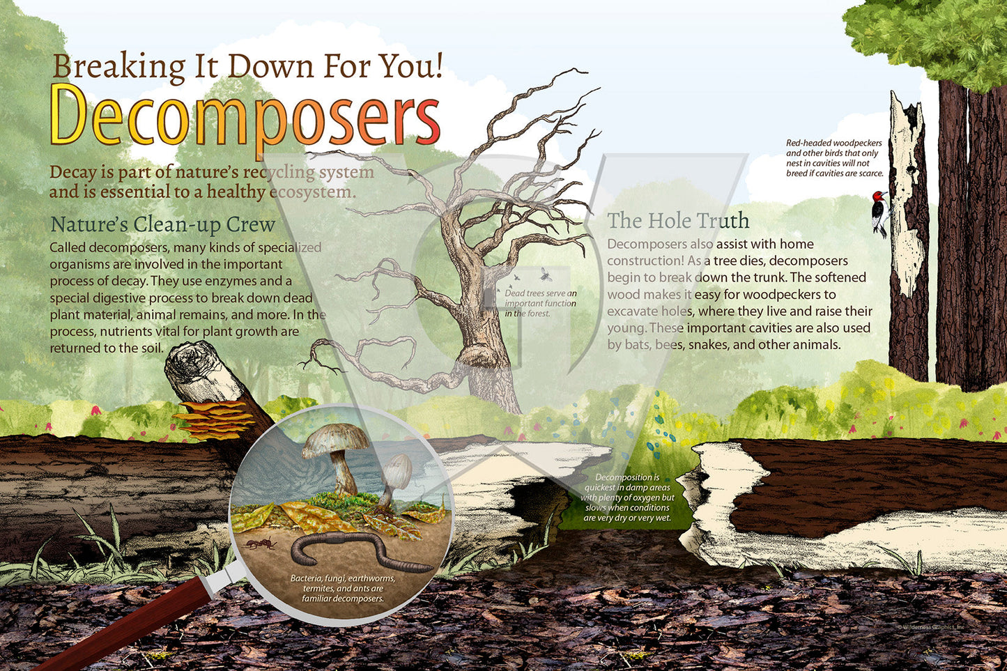 Decomposers Sign