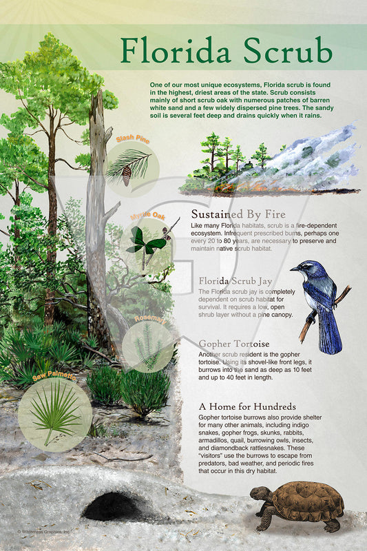 Florida Scrub Sign