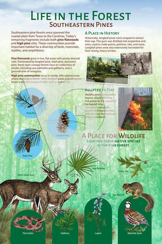 Life in the Forest Sign
