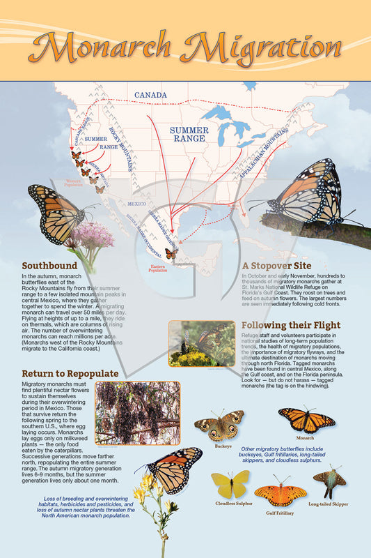 Monarch Migration Sign