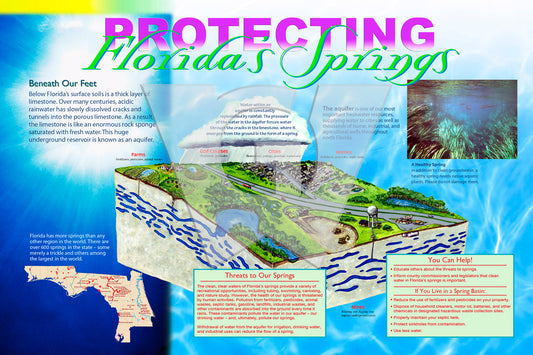Protecting Florida's Springs Sign