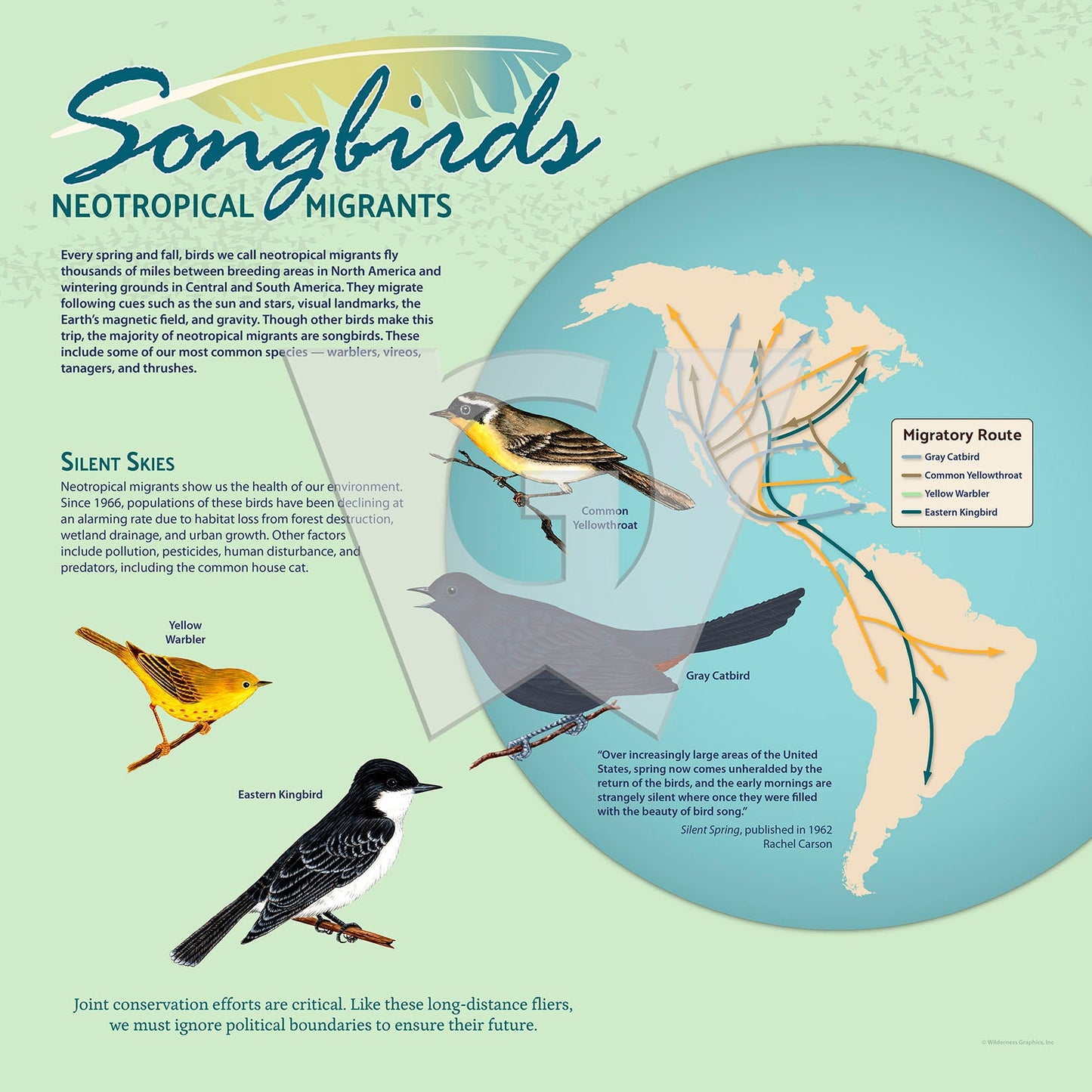 Songbirds
