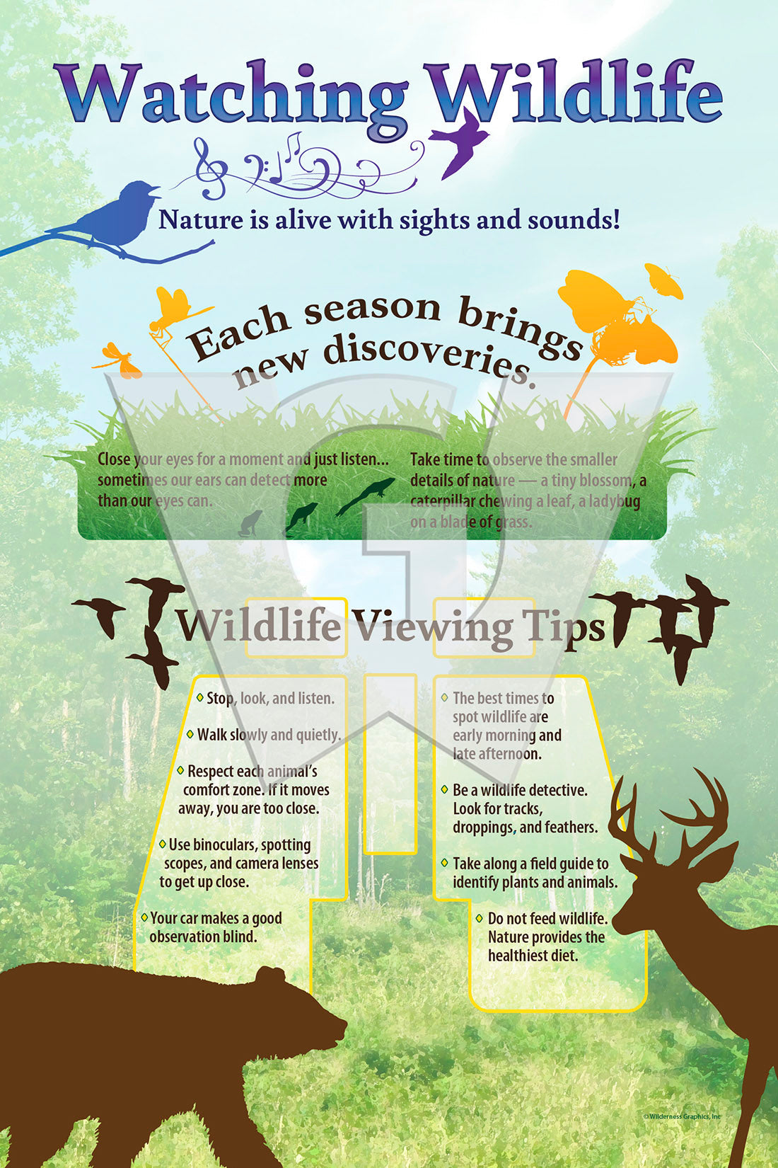 Watching Wildlife