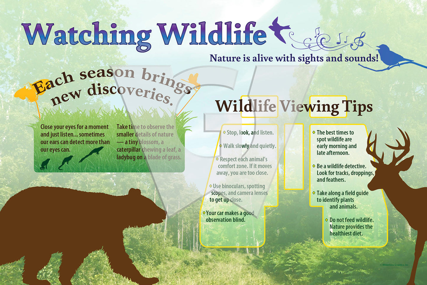 Watching Wildlife