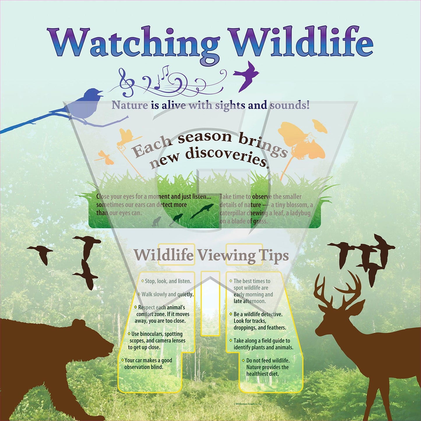 Watching Wildlife