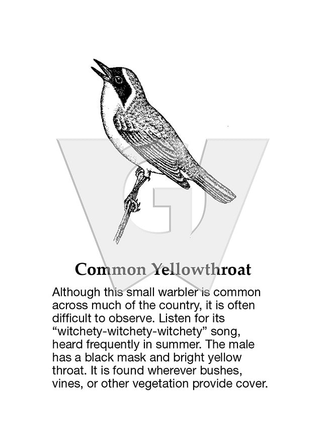 Common Yellowthroat Sign
