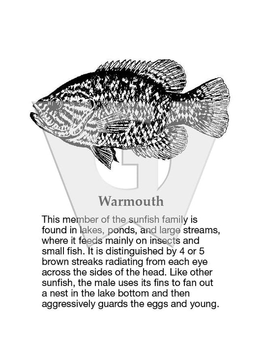 Warmouth Sign