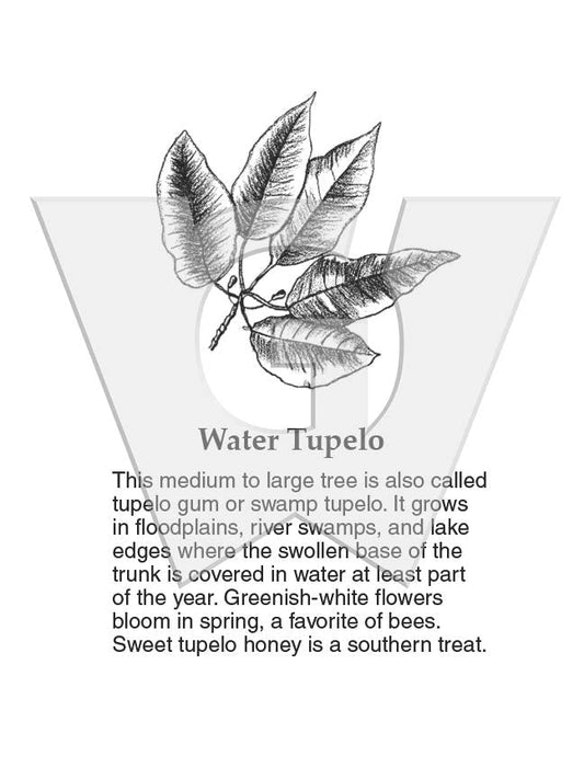 Water Tupelo Sign