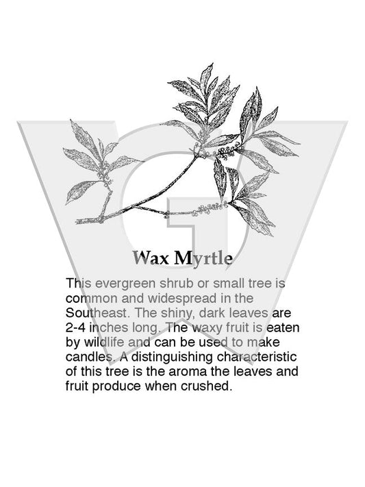 Wax Myrtle Sign